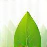Eco-Friendly Products